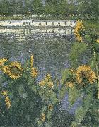 Gustave Caillebotte The sunflowers of waterside France oil painting artist
